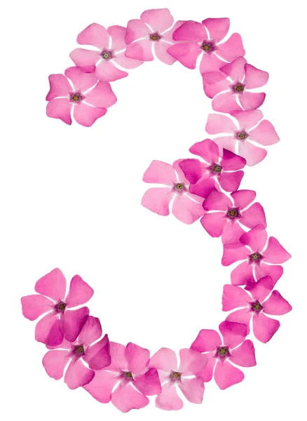 Ziffer Drei Aus Naturrosa Blüten Von Perlmutt Isoliert Auf Weißem — Stockfoto