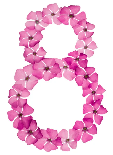 Numeral Eight Natural Pink Flowers Periwinkle Isolated White Background — Stock Photo, Image