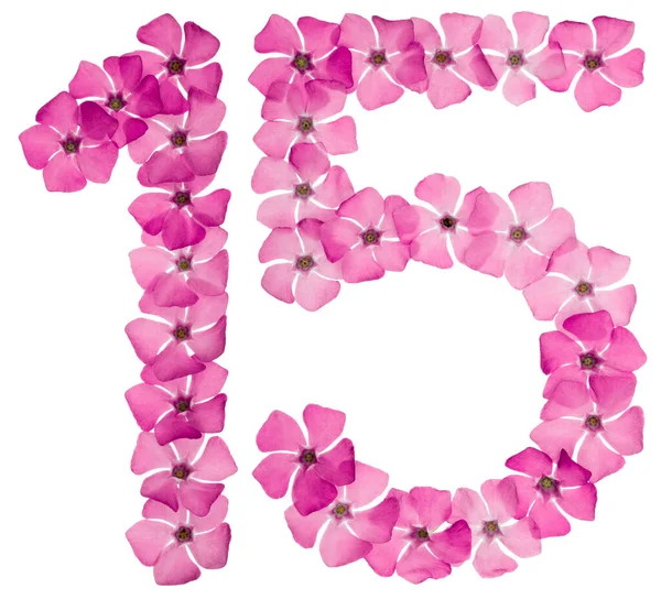Число Ятнадцять Натуральних Рожевих Квітів Опуклості Ізольовані Білому Тлі — стокове фото