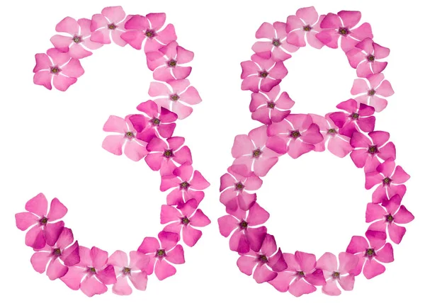 Numeral Thirty Eight Natural Pink Flowers Periwinkle Isolated White Background — Stock Photo, Image
