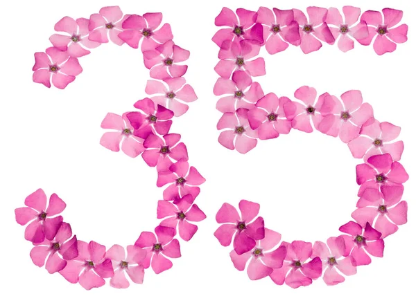 Ziffer Fünfunddreißig Aus Naturrosa Blüten Von Perlmutt Isoliert Auf Weißem — Stockfoto
