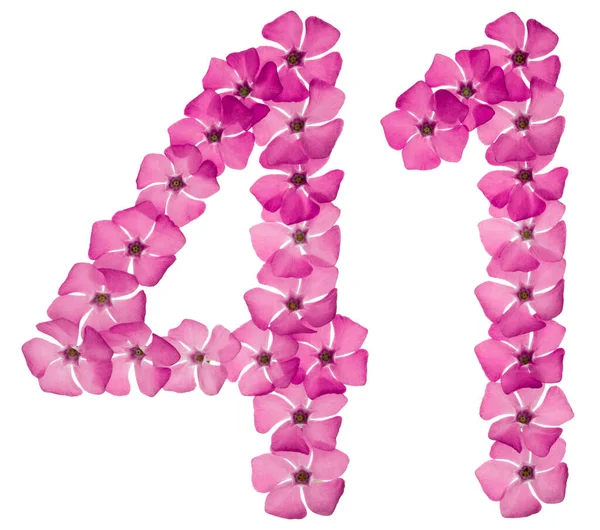 Ziffer Einundvierzig Aus Naturrosa Blüten Von Perlmutt Isoliert Auf Weißem — Stockfoto