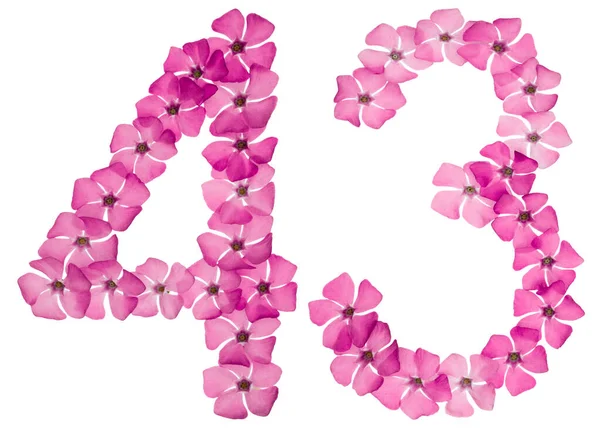 Numeral Forty Three Natural Pink Flowers Periwinkle Isolated White Background — Stock Photo, Image