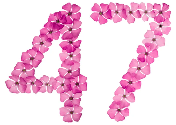 Ziffer Siebenundvierzig Aus Naturrosa Blüten Von Perlmutt Isoliert Auf Weißem — Stockfoto