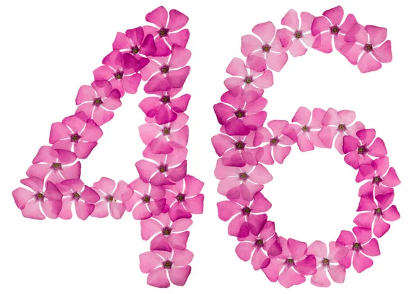 Numeral Forty Six Natural Pink Flowers Periwinkle Isolated White Background — Stock Photo, Image