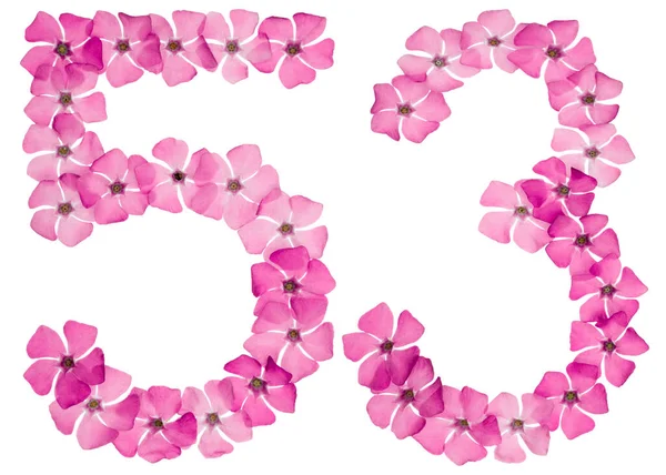 编号53 从天然的粉红色长春花中分离出来 白色背景 — 图库照片