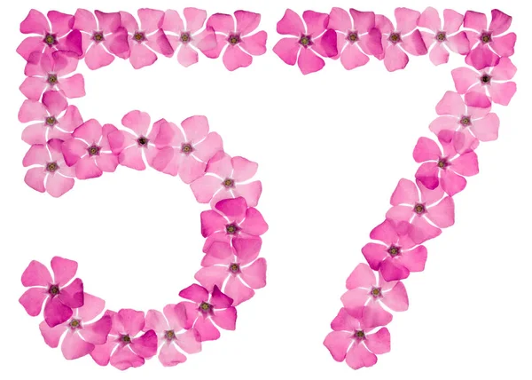 Numeral Cincuenta Siete Flores Rosadas Naturales Periwinkle Aisladas Sobre Fondo — Foto de Stock