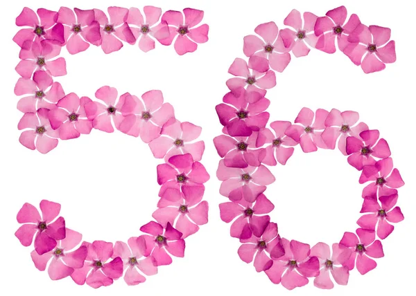编号56 从天然粉红色的长春花中分离出来 白色背景 — 图库照片