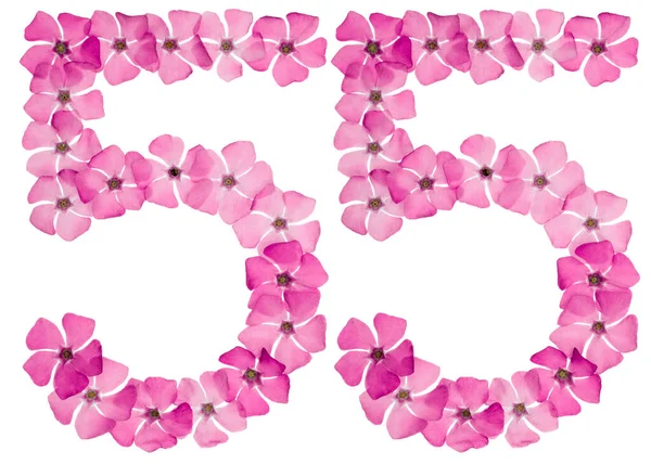 Ziffer Fünfundfünfzig Aus Naturrosa Blüten Von Perlmutt Isoliert Auf Weißem — Stockfoto