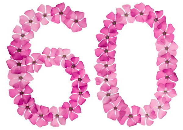 Ziffer Sechzig Aus Naturrosa Blüten Von Perlmutt Isoliert Auf Weißem — Stockfoto