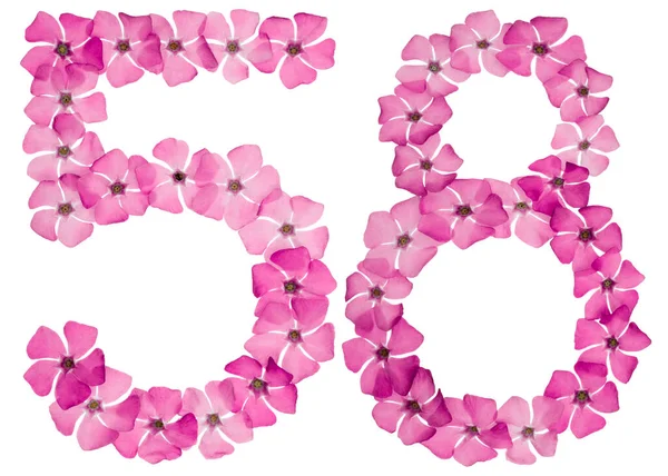 Ziffer Achtundfünfzig Aus Naturrosa Blüten Von Perlmutt Isoliert Auf Weißem — Stockfoto