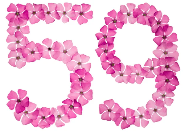Číslice Padesát Devět Přírodních Růžových Květů Perníku Izolované Bílém Pozadí — Stock fotografie
