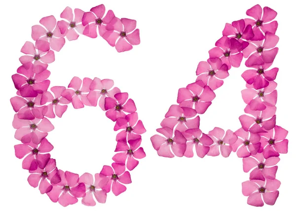 编号64 六十四 从天然的粉红色花被白色背景隔离的长春花中选出 — 图库照片