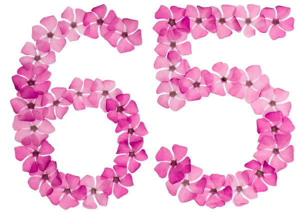 Numeral Sixty Five Natural Pink Flowers Periwinkle Isolated White Background — Stock Photo, Image