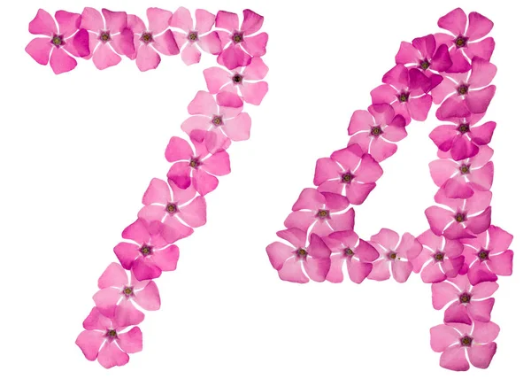 Numeryczny Siedemdziesiąt Cztery Naturalnych Różowych Kwiatów Periwinkle Odizolowany Białym Tle — Zdjęcie stockowe