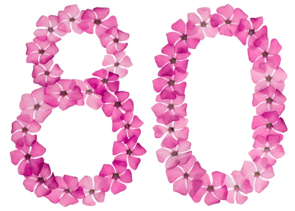 Ziffer Achtzig Aus Naturrosa Blüten Von Perlmutt Isoliert Auf Weißem — Stockfoto