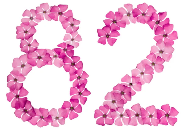 Numeral Eighty Two Natural Pink Flowers Periwinkle Isolated White Background — Stock Photo, Image