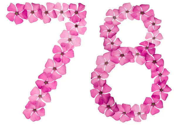 Numeral Seventy Eight Natural Pink Flowers Periwinkle Isolated White Background — Stock Photo, Image