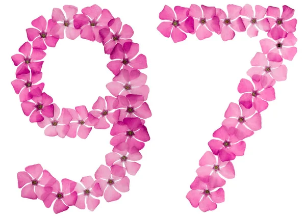 Numeral Ninety Seven Natural Pink Flowers Periwinkle Isolated White Background — Stock Photo, Image