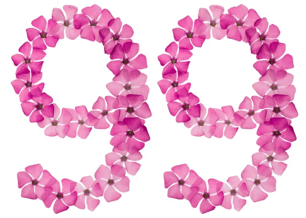 Numeral Natural Pink Flowers Periwinkle Isolated White Background — стоковое фото