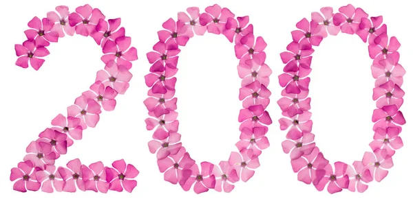 Numeral 200 Two Hundred Natural Pink Flowers Periwinkle Isolated White — Stock Photo, Image