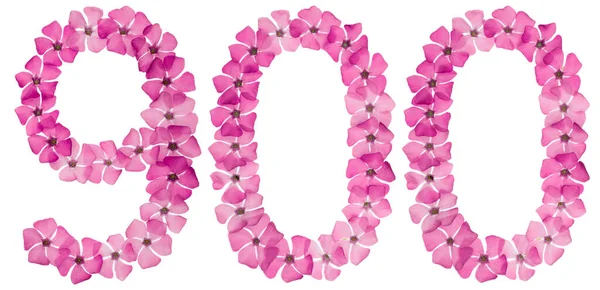 Numeral 900 Nio Hundra Frã Naturliga Rosa Blommor Blã Ckfisk — Stockfoto