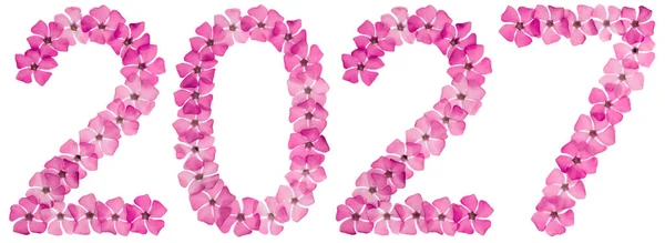 Inscription 2027 Natural Pink Flowers Periwinkle Isolated White Background — Stock Photo, Image