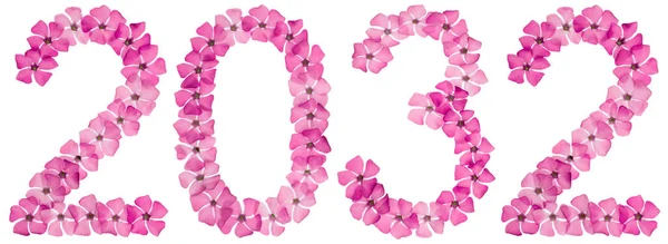 Inscriptie 2032 Van Natuurlijke Roze Bloemen Van Periwinkle Geïsoleerd Witte — Stockfoto