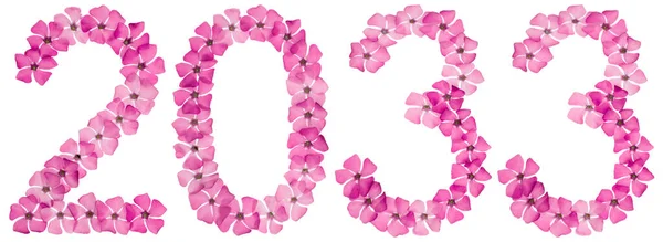 Inscription 2033 Natural Pink Flowers Periwinkle Isolated White Background — Stock Photo, Image
