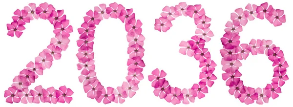 Inscrição 2036 Partir Flores Rosa Naturais Periwinkle Isolado Fundo Branco — Fotografia de Stock