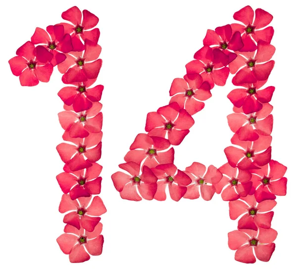 Число Чотирнадцять Натуральних Червоних Квітів Опуклості Ізольовані Білому Тлі — стокове фото