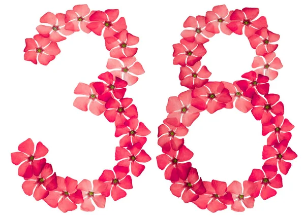 Numeral Thirty Eight Natural Red Flowers Periwinkle Isolated White Background — Stock Photo, Image