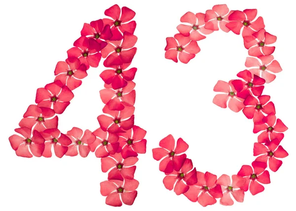 Numeral Forty Three Natural Red Flowers Periwinkle Isolated White Background — Stock Photo, Image