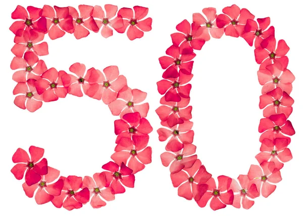 Číslice Přírodních Červených Květů Perníku Izolované Bílém Pozadí — Stock fotografie