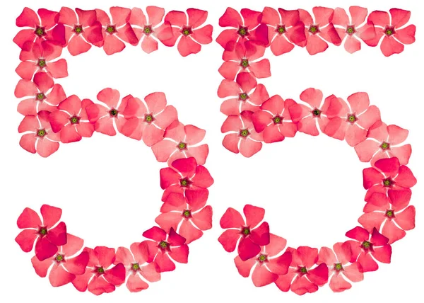 Ziffer Fünfundfünfzig Aus Natürlichen Roten Blüten Von Perlmutt Isoliert Auf — Stockfoto