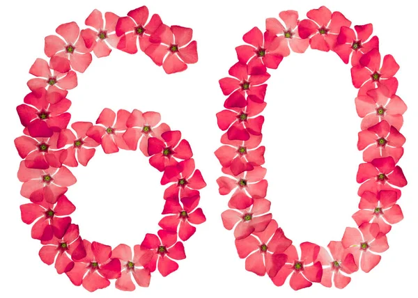 Číslice Šedesát Přírodních Červených Květů Perníku Izolované Bílém Pozadí — Stock fotografie