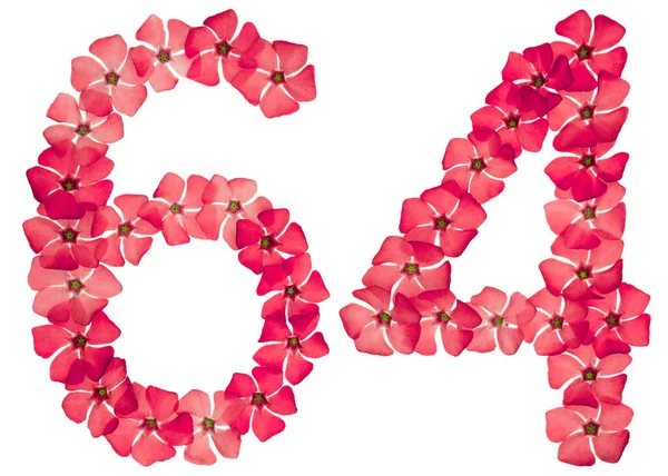 Numeral Sixty Four Natural Red Flowers Periwinkle Isolated White Background — Stock Photo, Image