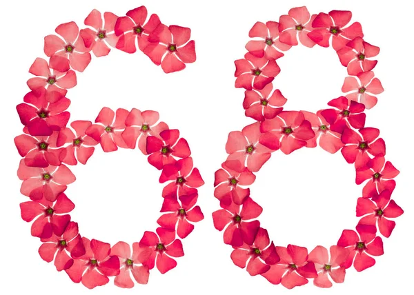Numeral Sixty Eight Natural Red Flowers Periwinkle Isolated White Background — Stock Photo, Image