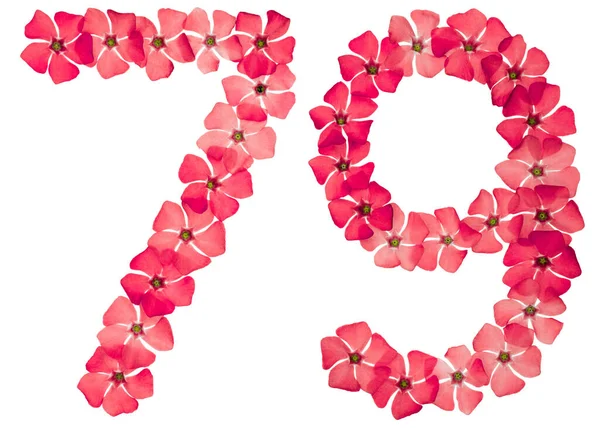 Numeryczny Siedemdziesiąt Dziewięć Naturalnych Czerwonych Kwiatów Periwinkle Odizolowany Białym Tle — Zdjęcie stockowe
