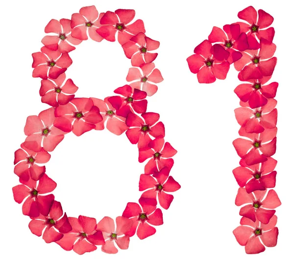 Numeral Eighty One Natural Red Flowers Periwinkle Isolated White Background — Stock Photo, Image