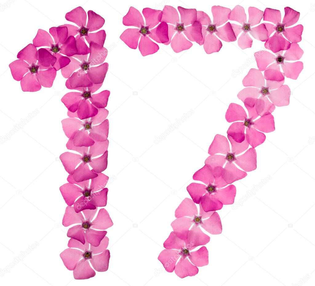 Numeral 17, seventeen, from natural pink flowers of periwinkle, isolated on white background