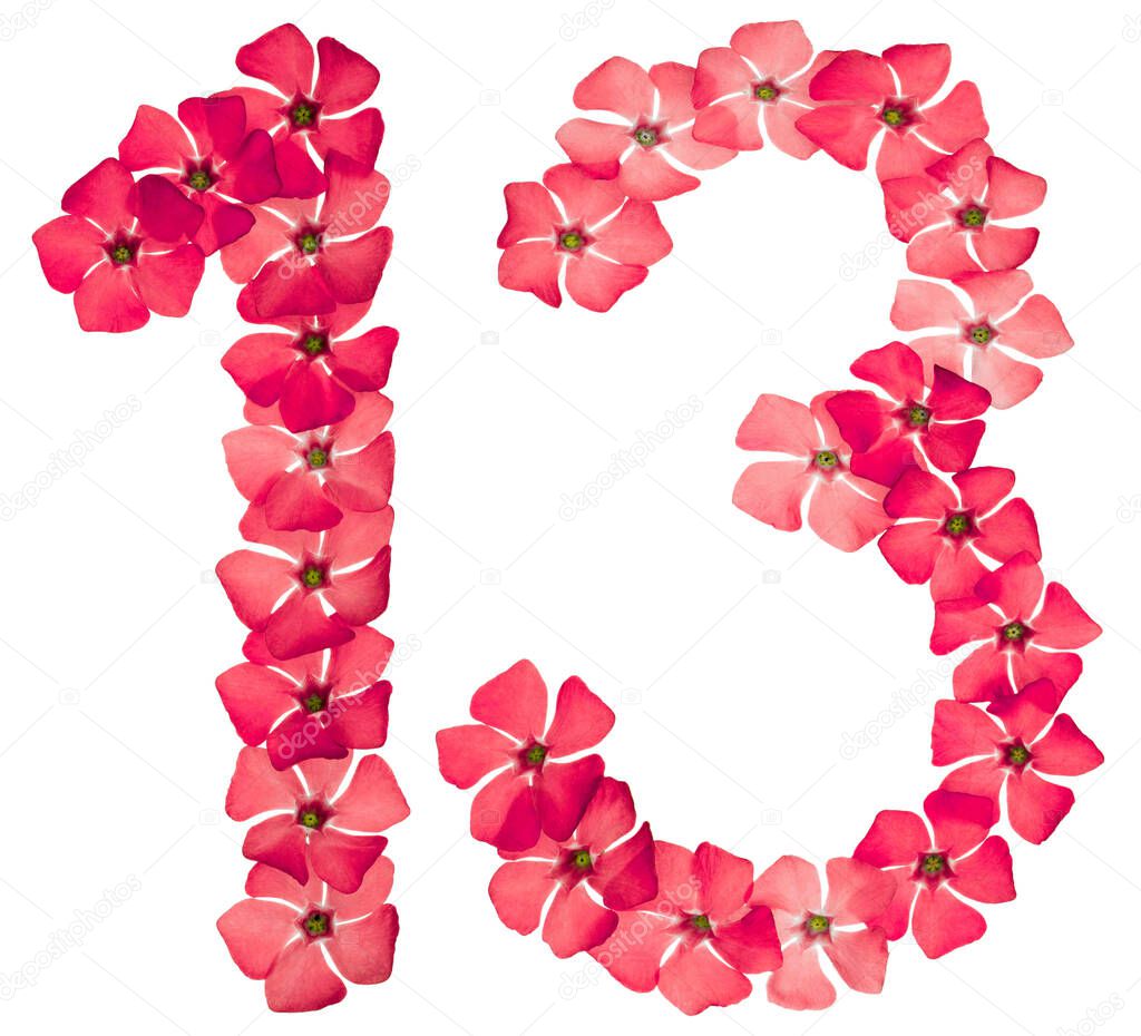 Numeral 13, thirteen, from natural red flowers of periwinkle, isolated on white background