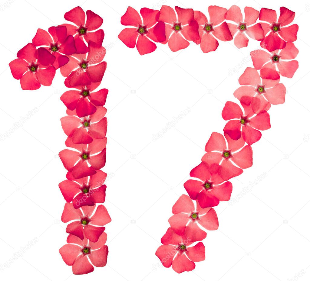 Numeral 17, seventeen, from natural red flowers of periwinkle, isolated on white background