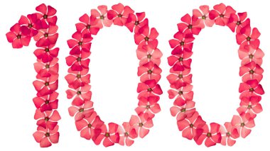 100 numara, 100, menekşe kırmızısından, beyaz arka planda izole edilmiş.