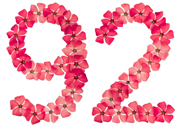 Numer Dziewięćdziesiąt Dwa Naturalnych Czerwonych Kwiatów Periwinkle Odizolowany Białym Tle — Zdjęcie stockowe