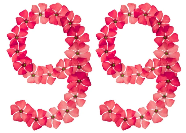 Číslo Devadesát Devět Přírodních Červených Květů Okvětního Plátku Izolované Bílém — Stock fotografie