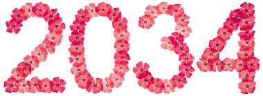 Yazıt 2034, menekşe kırmızısından, beyaz arka planda izole edilmiş.