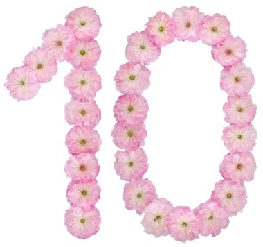 10 numara, 10 numara, badem ağacının doğal pembe çiçeklerinden, beyaz arka planda izole edilmiş.