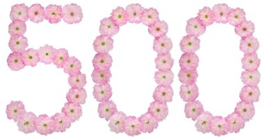 500 numara, 500, badem ağacının doğal pembe çiçeklerinden, beyaz arka planda izole edilmiş.