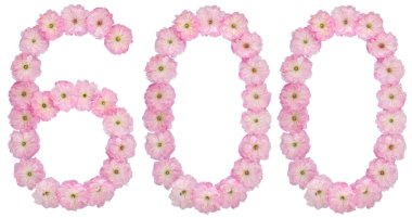 600, 600 numara, badem ağacının doğal pembe çiçeklerinden, beyaz arka planda izole edilmiş.